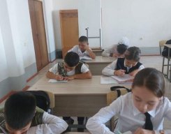 it11